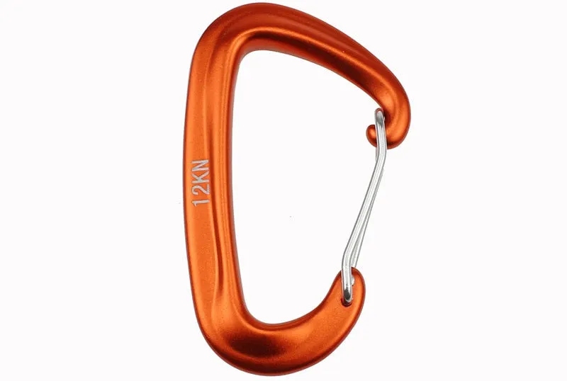 Professional Climbing Carabiner D Shape